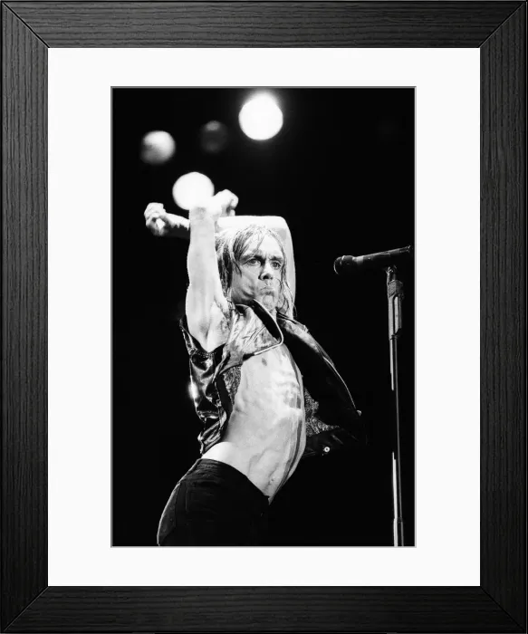 Framed Print : Iggy Pop (real name James Newell Osterberg Jr. ) appearing at The Reading Festival Framed Print : Iggy Pop (real name James Newell Osterberg Jr. ) appearing at The Reading Festival