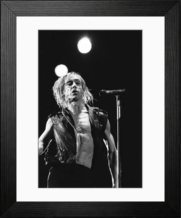 Framed Print : Iggy Pop (real name James Newell Osterberg Jr. ) appearing at The Reading Festival Framed Print : Iggy Pop (real name James Newell Osterberg Jr. ) appearing at The Reading Festival