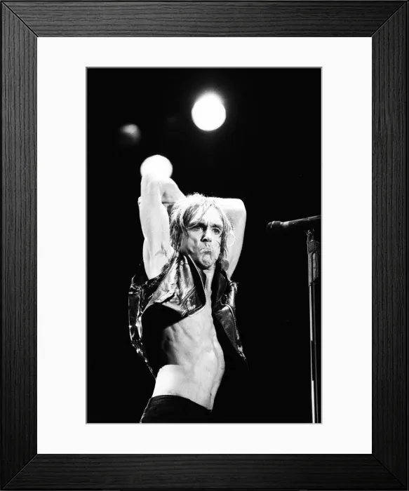 Framed Print : Iggy Pop (real name James Newell Osterberg Jr. ) appearing at The Reading Festival Framed Print : Iggy Pop (real name James Newell Osterberg Jr. ) appearing at The Reading Festival