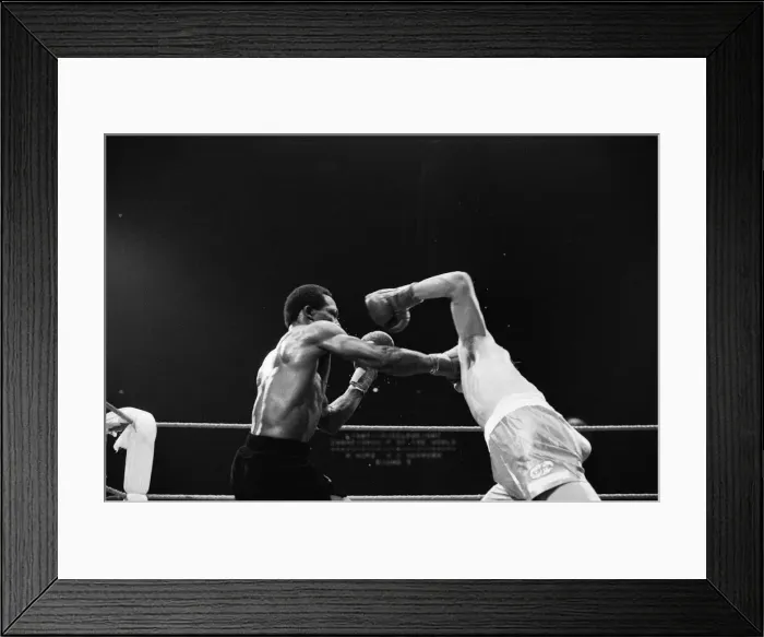 Framed Print : Maurice Hope v Carlos Herrera WBC World Super Welterweight Title Framed Print : Maurice Hope v Carlos Herrera WBC World Super Welterweight Title