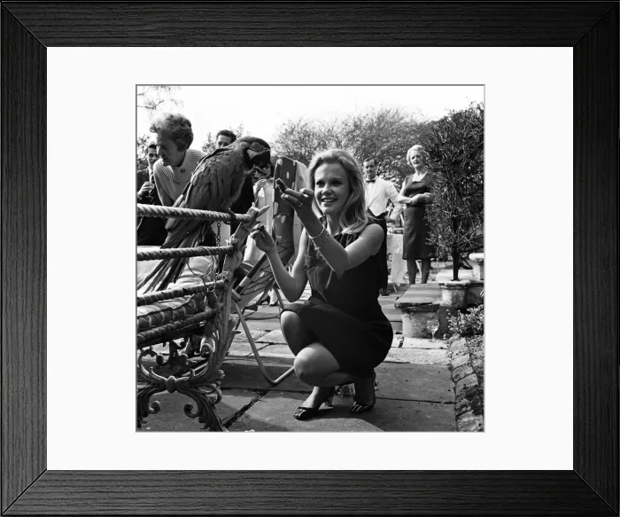 Framed Print : Hayley Mills celebrates her 21st birthday at her parents home at Richmond Hill, Surrey Framed Print : Hayley Mills celebrates her 21st birthday at her parents home at Richmond Hill, Surrey