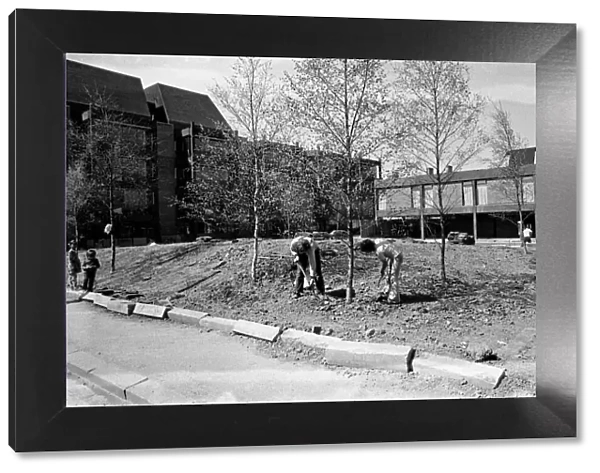 Landscaping at the Civic Centre, Middlesbrough. 1973