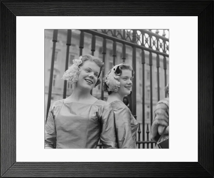 Framed Print : Debutantes at Buckingham Palace. Today, 500 debutantes were presented before the Queen Framed Print : Debutantes at Buckingham Palace. Today, 500 debutantes were presented before the Queen