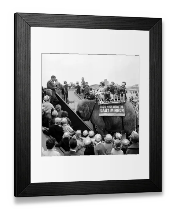Framed Print : Daily Mirror Day at Belle Vue Zoological Gardens, Belle Vue, Manchester, June 1962