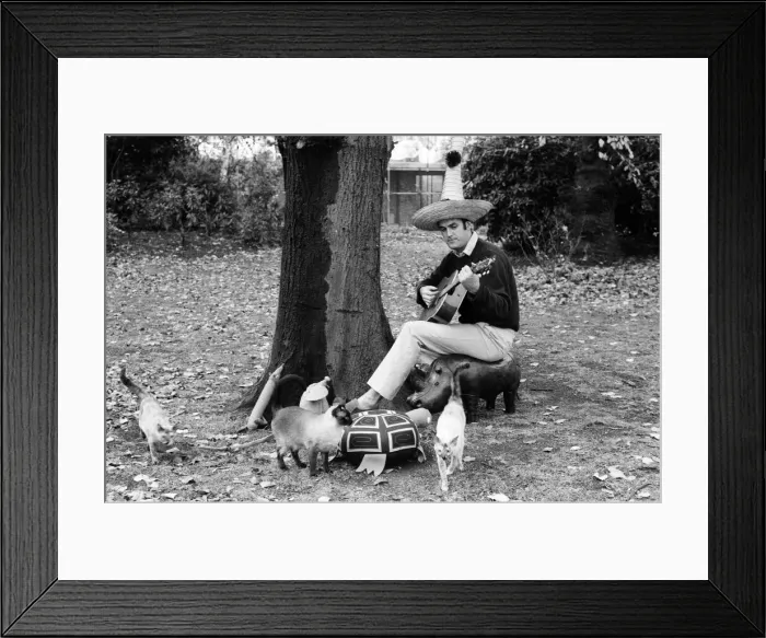 Framed Print : John Cleese relaxing in the garden of his home in Holland Park Framed Print : John Cleese relaxing in the garden of his home in Holland Park