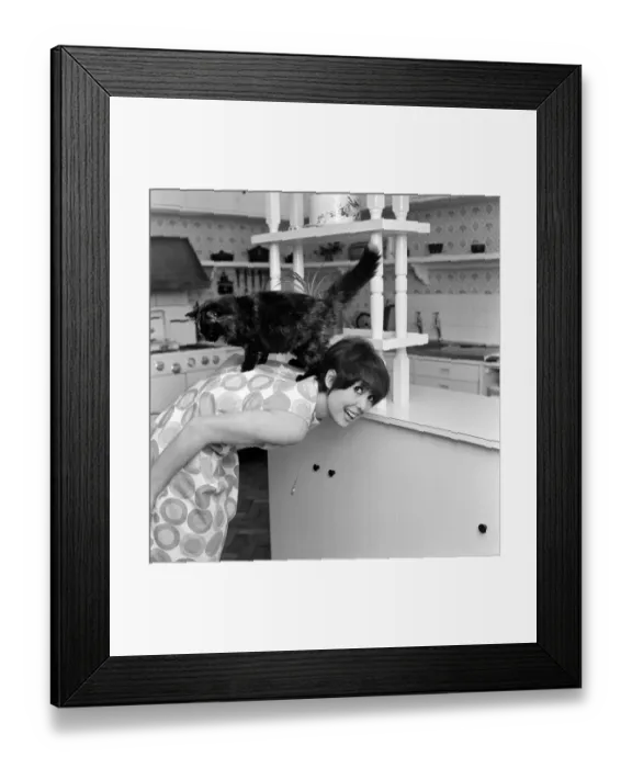 Framed Print : Actress Una Stubbs pictured at her Radlett home with her cat called Corrigan Framed Print : Actress Una Stubbs pictured at her Radlett home with her cat called Corrigan
