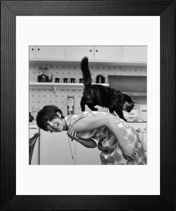 Framed Print : Actress Una Stubbs pictured at her Radlett home with her cat called Corrigan Framed Print : Actress Una Stubbs pictured at her Radlett home with her cat called Corrigan