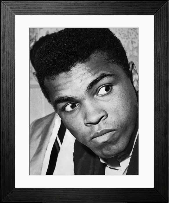 Framed Print : Muhammad Ali born Cassius Marcellus Clay Jr. January 17, 1942 June 3 Framed Print : Muhammad Ali born Cassius Marcellus Clay Jr. January 17, 1942 June 3