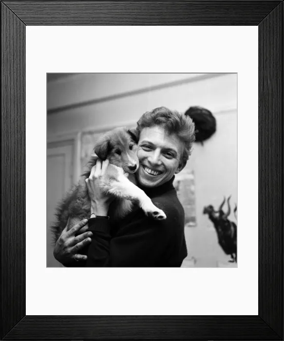 Framed Print : Tommy Steele is seen photographed with a birthday present from his wife Framed Print : Tommy Steele is seen photographed with a birthday present from his wife