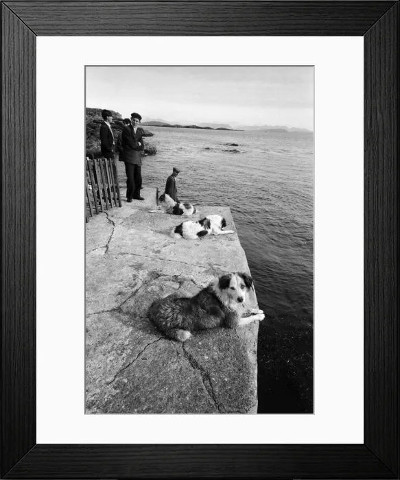 Framed Print : The last twenty three residents of Inishark Island (sometimes called Shark Island) Framed Print : The last twenty three residents of Inishark Island (sometimes called Shark Island)