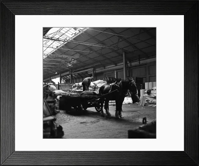 Framed Print : Life at Belfast Docks. 9th October 1963 Framed Print : Life at Belfast Docks. 9th October 1963