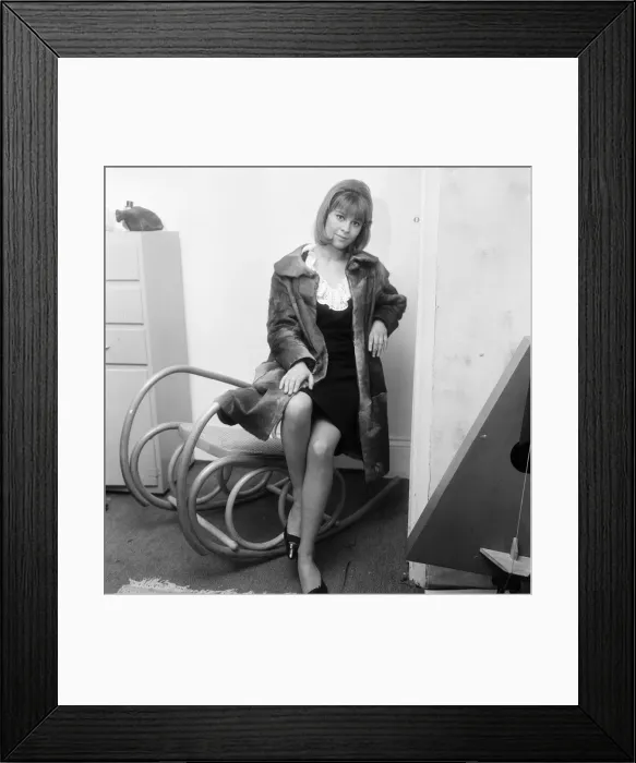 Framed Print : 21-year-old actress Julie Christie wearing a seal-skin coat. 29th January 1963 Framed Print : 21-year-old actress Julie Christie wearing a seal-skin coat. 29th January 1963