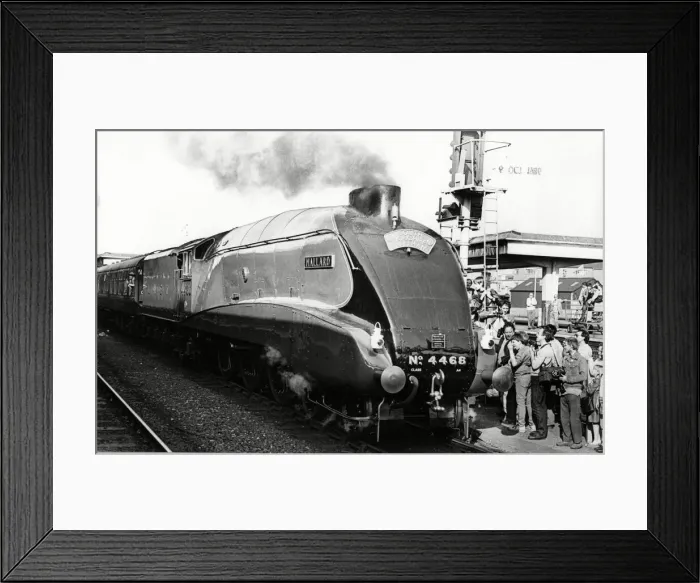 Framed Print : The Mallard in Derby 15th October 1986 Framed Print : The Mallard in Derby 15th October 1986