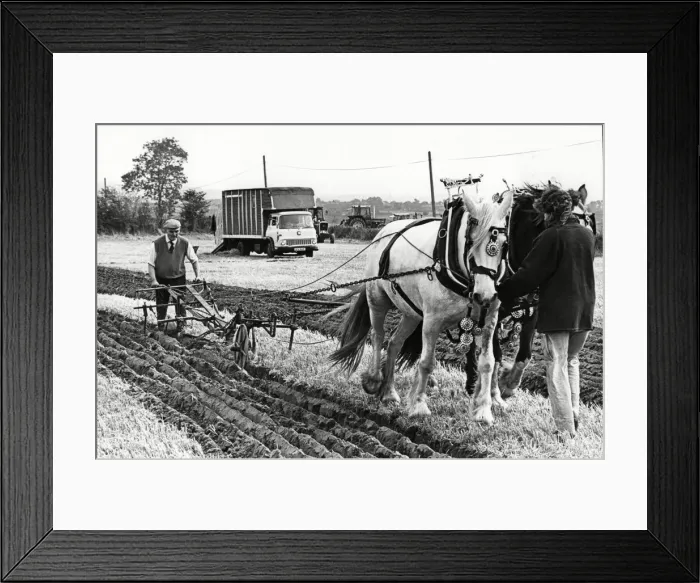 Framed Print : West Hallam Ploughing competition 15th October 1985 Framed Print : West Hallam Ploughing competition 15th October 1985