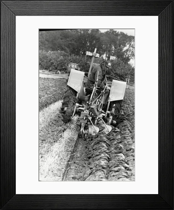 Framed Print : Frank Jackson ploughing competition at West Hallam and Ockbrook 15th September 1988 Framed Print : Frank Jackson ploughing competition at West Hallam and Ockbrook 15th September 1988