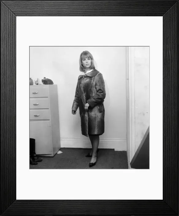 Framed Print : 21-year-old actress Julie Christie wearing a seal-skin coat. 29th January 1963 Framed Print : 21-year-old actress Julie Christie wearing a seal-skin coat. 29th January 1963