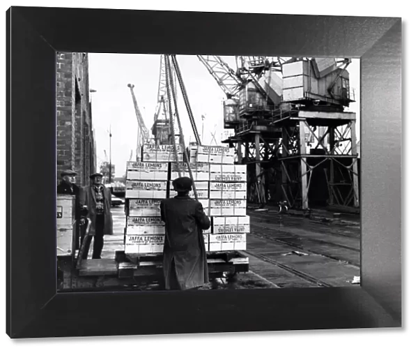 Discharging boxes of lemons from Israel at A shed, Queens Dock, Cardiff