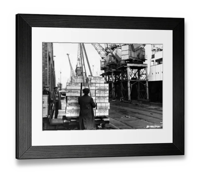 Framed Print : Discharging boxes of lemons from Israel at A shed, Queens Dock, Cardiff Framed Print : Discharging boxes of lemons from Israel at A shed, Queens Dock, Cardiff