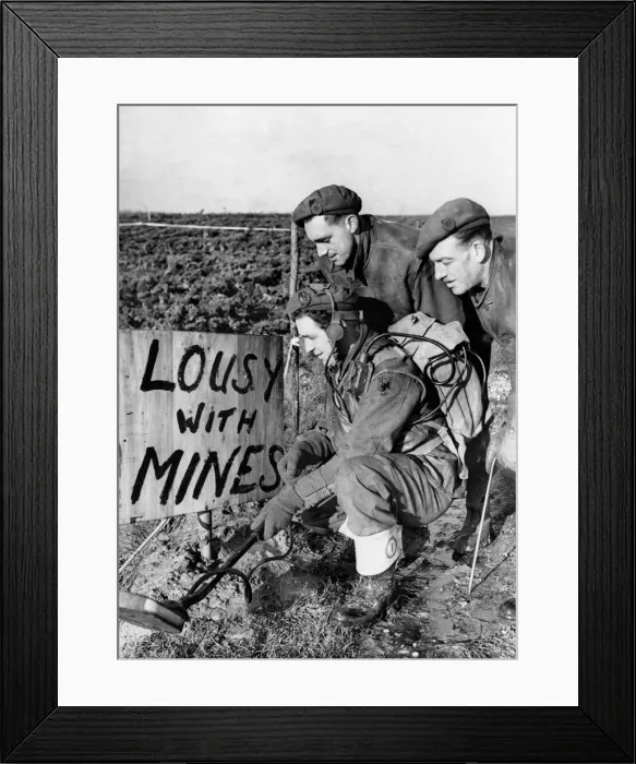 Framed Print : British sappers at work clearing away enemy mines in a field near the town of Framed Print : British sappers at work clearing away enemy mines in a field near the town of