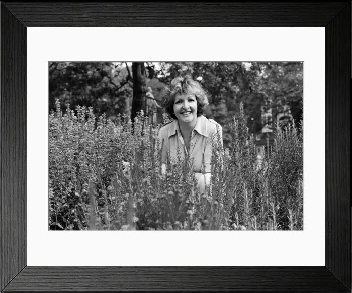 Framed Print : Actress Penelope Keith doing some gardening. 25th September 1985 Framed Print : Actress Penelope Keith doing some gardening. 25th September 1985
