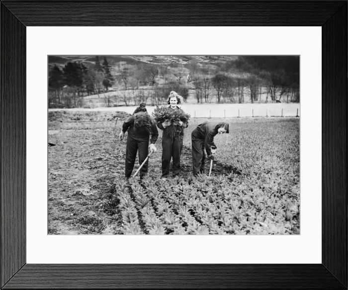 Framed Print : Women of the Forestry Commission section of the Women Framed Print : Women of the Forestry Commission section of the Women