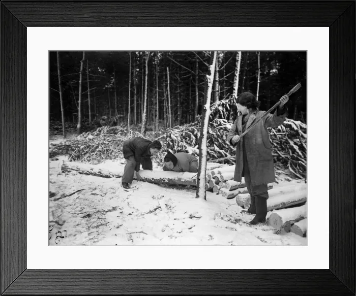 Framed Print : Women of the Forestry Commission section of the Women Framed Print : Women of the Forestry Commission section of the Women