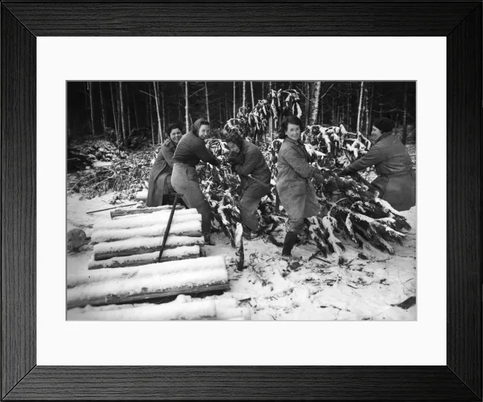 Framed Print : Women of the Forestry Commission section of the Women Framed Print : Women of the Forestry Commission section of the Women