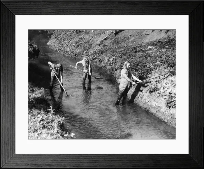 Framed Print : Recruits of the Womens Land Army prepare for ploughing at Hanley Brook