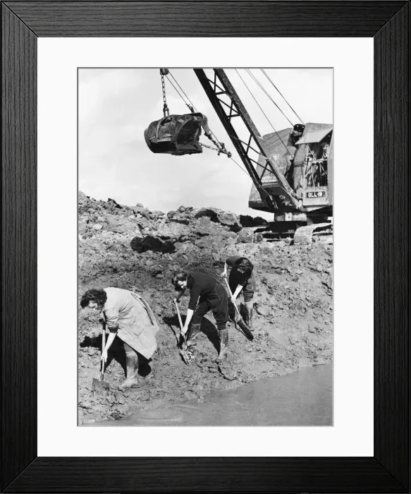 Framed Print : Recruits of the Womens Land Army digging at a site beside the river her Flint Framed Print : Recruits of the Womens Land Army digging at a site beside the river her Flint