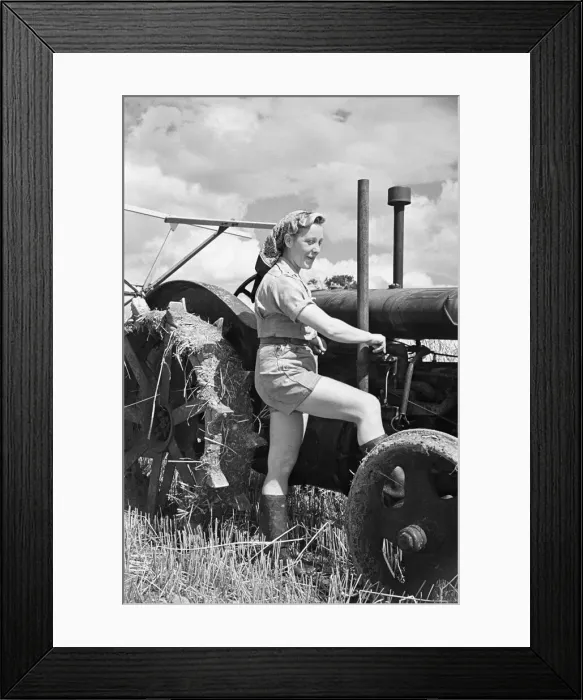Framed Print : Members of the Women Land Army (WLA) at work on a farm in Hertfordshire Framed Print : Members of the Women Land Army (WLA) at work on a farm in Hertfordshire