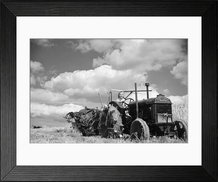 Framed Print : Members of the Women Land Army (WLA) at work on a farm in Hertfordshire