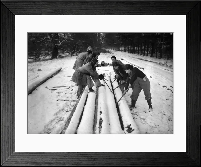 Framed Print : Women of the Forestry Commission section of the Women Framed Print : Women of the Forestry Commission section of the Women