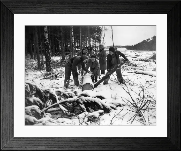 Framed Print : Women of the Forestry Commission section of the Women Framed Print : Women of the Forestry Commission section of the Women