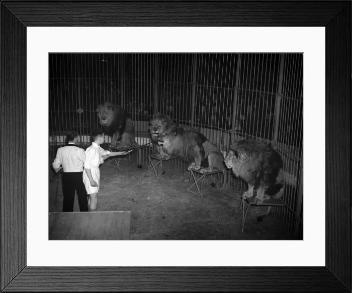 Framed Print : Cedric Crossfields, the 15-year-old boy from Manchester who ran away from home to be a Framed Print : Cedric Crossfields, the 15-year-old boy from Manchester who ran away from home to be a