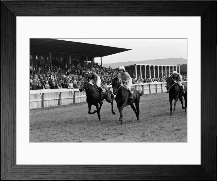 Framed Print : General view of Redcar races. 1973 Framed Print : General view of Redcar races. 1973