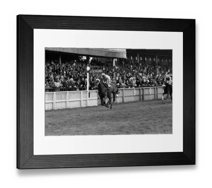 Framed Print : General view of Redcar races. 1973