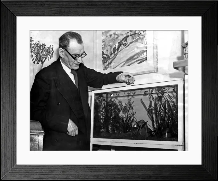 Framed Print : Dr. Desmond MacMahon, Music Advisor at Birmingham Education Centre. Circa 1950 Framed Print : Dr. Desmond MacMahon, Music Advisor at Birmingham Education Centre. Circa 1950