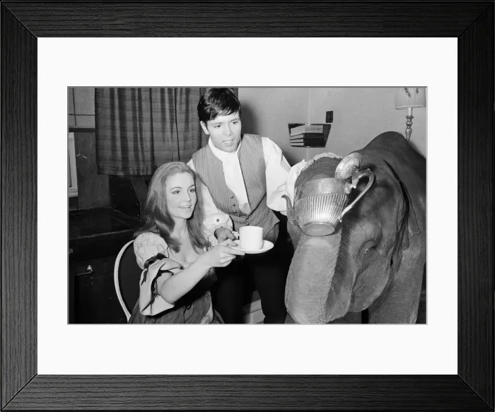 Framed Print : Cliff Richard, Pippa Steel (18 year old cousin of Hayley Mills) and Tanya