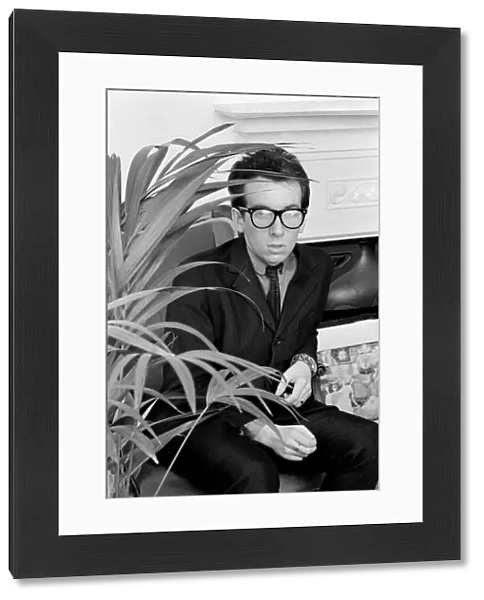 Elvis Costello, the newest sensation on the music scene, sitting next to plant