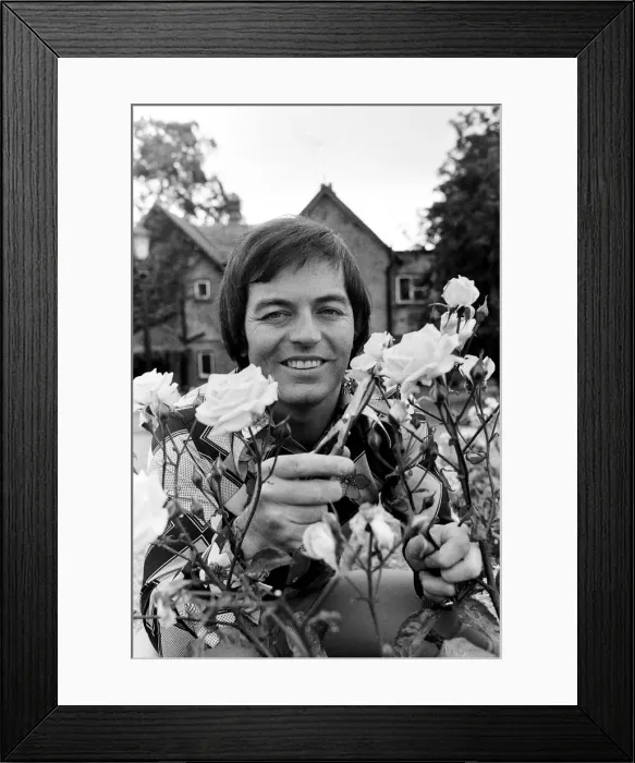 Framed Print : Tony Blackburn at home in Cookham Dean, Berkshire, pruning his roses. 5th September 1974 Framed Print : Tony Blackburn at home in Cookham Dean, Berkshire, pruning his roses. 5th September 1974