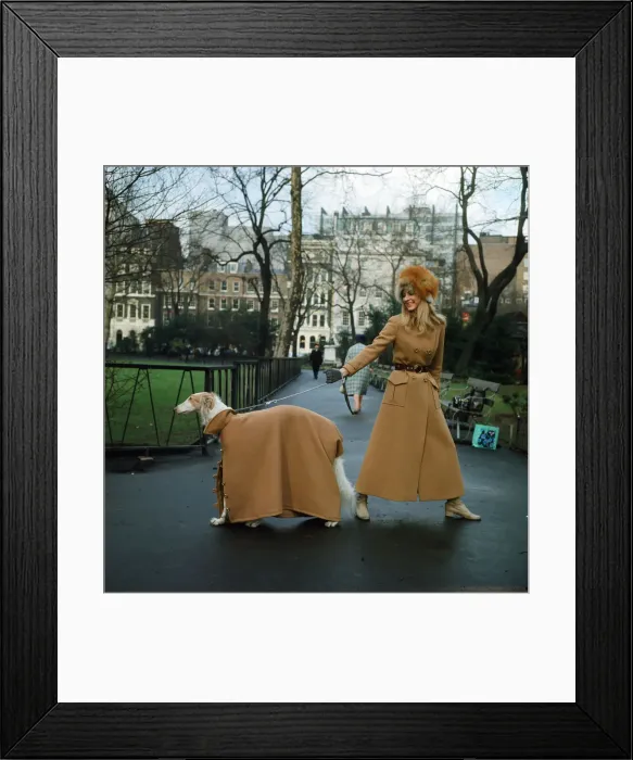 Framed Print : The first maxi coat for dogs gets its maiden outing in London with model Vicki Hodge Framed Print : The first maxi coat for dogs gets its maiden outing in London with model Vicki Hodge