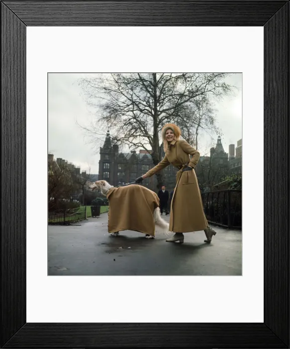 Framed Print : The first maxi coat for dogs gets its maiden outing in London with model Vicki Hodge Framed Print : The first maxi coat for dogs gets its maiden outing in London with model Vicki Hodge