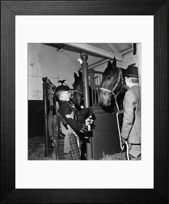 Framed Print : Piper Mitch Mitchinson plays bagpipes to Newcastle Brewery dray horses to get them used