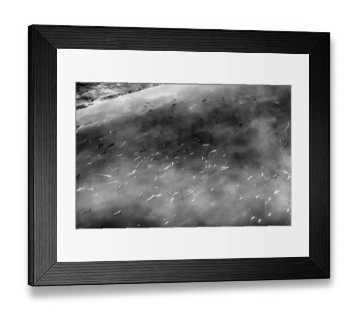 Framed Print : Omaha, commonly known as Omaha Beach, was the code name for one of the five sectors of Framed Print : Omaha, commonly known as Omaha Beach, was the code name for one of the five sectors of