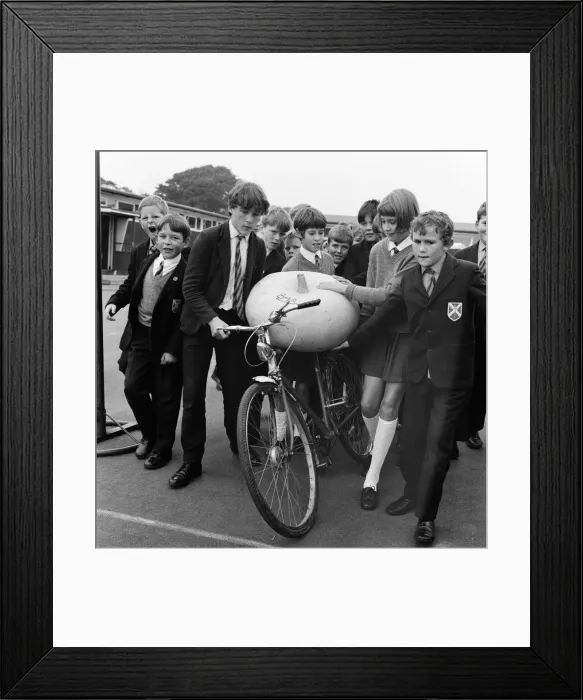 Framed Print : With its weight proudly inscribed in bold figures, a large 84 lb pumpkin makes Framed Print : With its weight proudly inscribed in bold figures, a large 84 lb pumpkin makes