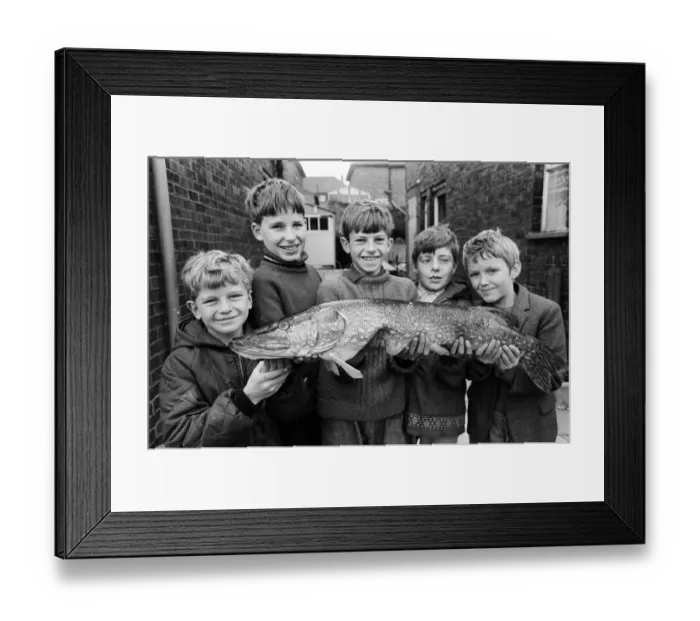 Framed Print : Five boys who went out looking for tiddlers and landed a 12 lb, three foot long pike