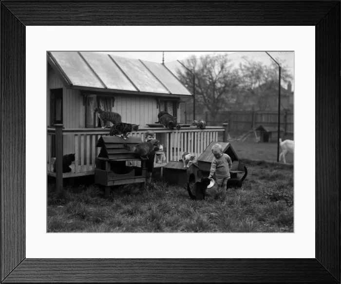 Framed Print : Young children with cats. Circa 1925 Framed Print : Young children with cats. Circa 1925