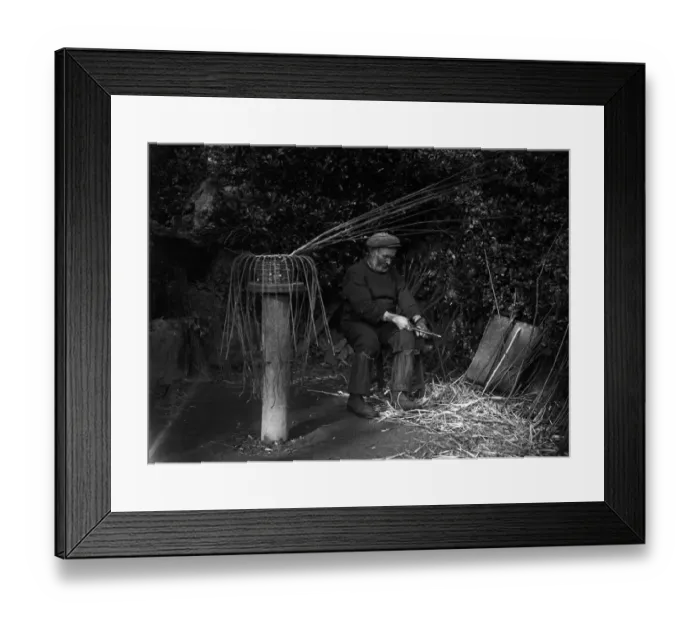 Framed Print : Crab pot making at Penberth, Sharpening willows ready for the frame. Cornwall. 1923 Framed Print : Crab pot making at Penberth, Sharpening willows ready for the frame. Cornwall. 1923