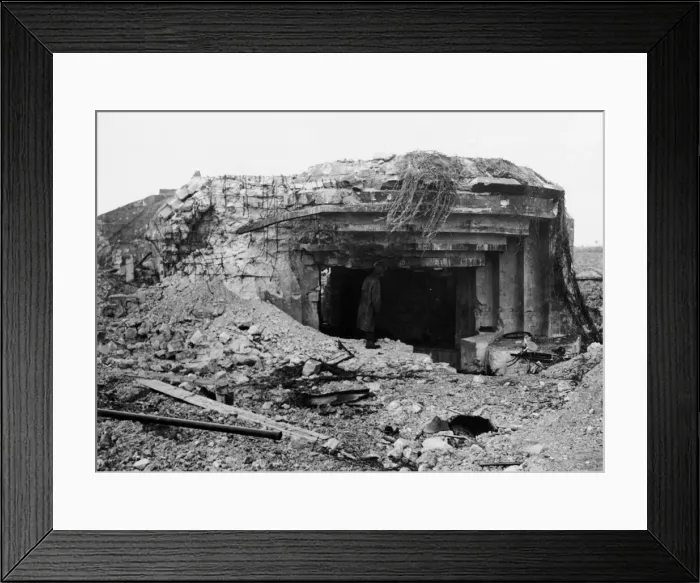 Framed Print : A. G. I peers inquisitively into what remains of former Impregnable Nazi concrete pill box Framed Print : A. G. I peers inquisitively into what remains of former Impregnable Nazi concrete pill box