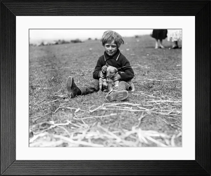 Framed Print : Gipsy child and pet dog at Epsom Downs, Surrey. 1932 Framed Print : Gipsy child and pet dog at Epsom Downs, Surrey. 1932